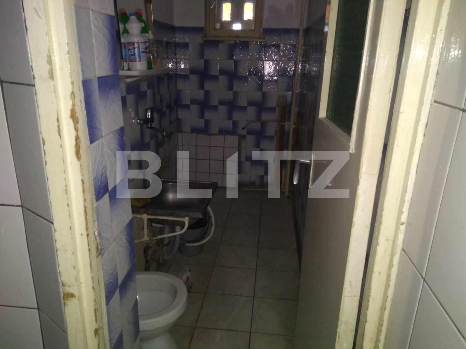 Spațiu comercial de închiriat Dacia - 106061SIC | BLITZ Timișoara | Poza9