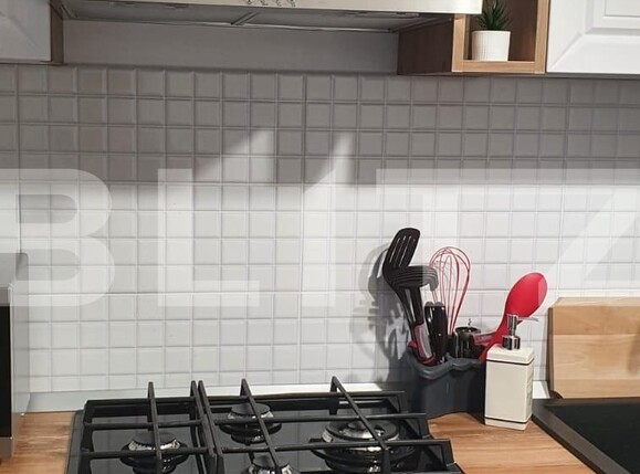 Apartament de închiriat 2 camere Semicentral - 106071AI | BLITZ Timișoara | Poza3