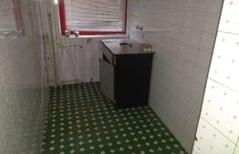 Spatiu Comercial, 44 mp, zona Dacia, Timisoara!