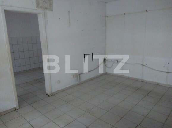 Spațiu comercial de vânzare Dacia - 106163SVC | BLITZ Timișoara | Poza4