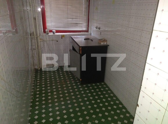 Spațiu comercial de vânzare Dacia - 106163SVC | BLITZ Timișoara | Poza9