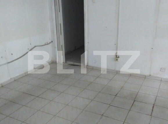 Spațiu comercial de vânzare Dacia - 106163SVC | BLITZ Timișoara | Poza7