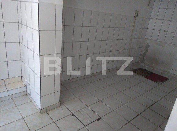 Spațiu comercial de vânzare Dacia - 106163SVC | BLITZ Timișoara | Poza6