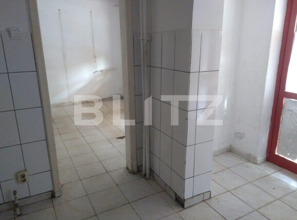 Spațiu comercial de vânzare Dacia - 106163SVC | BLITZ Timișoara | Poza3