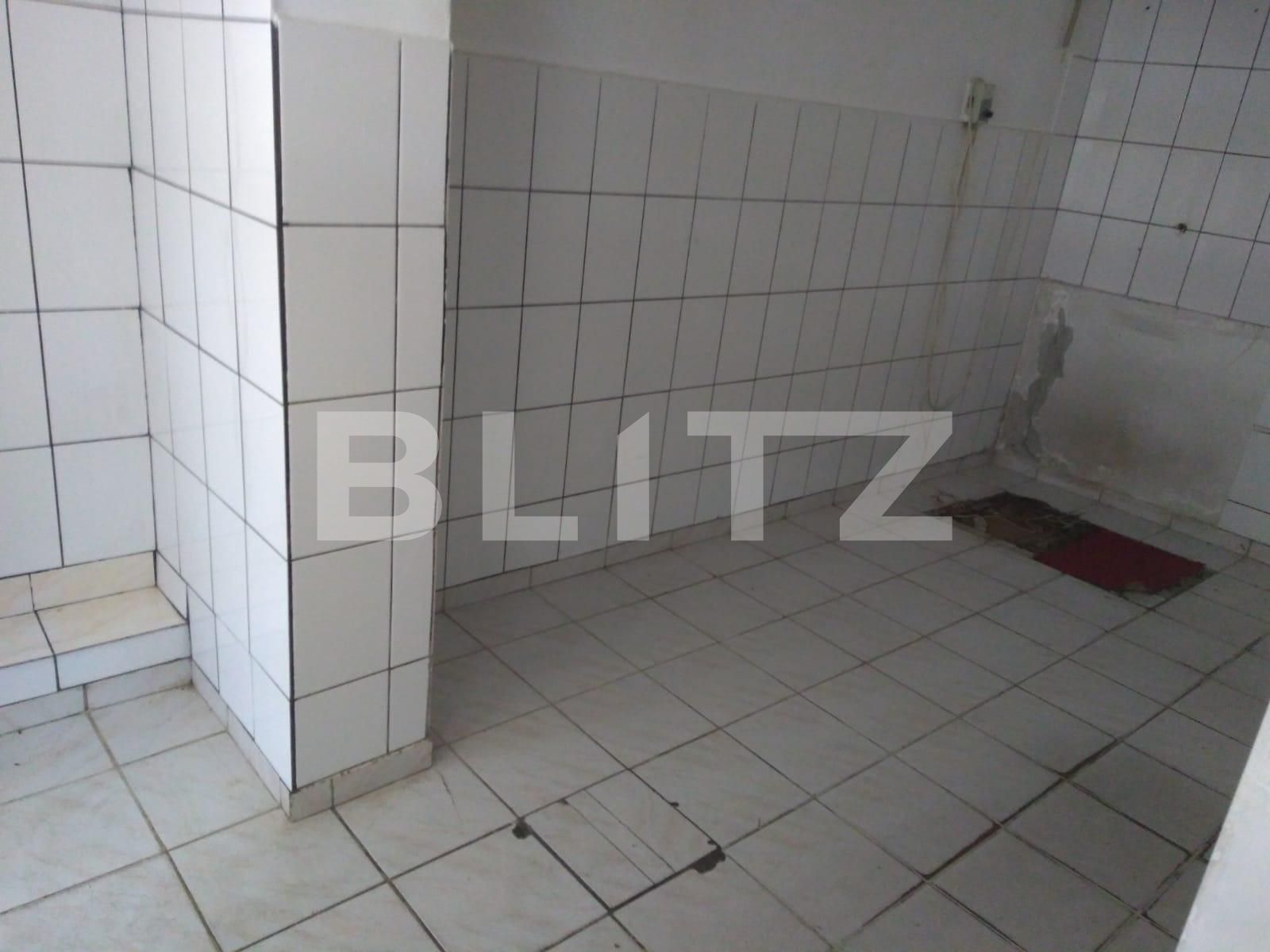 Spațiu comercial de vânzare Dacia - 106163SVC | BLITZ Timișoara | Poza6