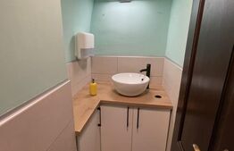 Spatiu Ultracentral, zona pietonala, vad bun 