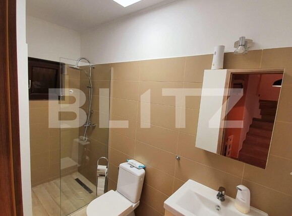 Casa de închiriat 4 camere Dumbravita - 106337CI | BLITZ Timișoara | Poza5