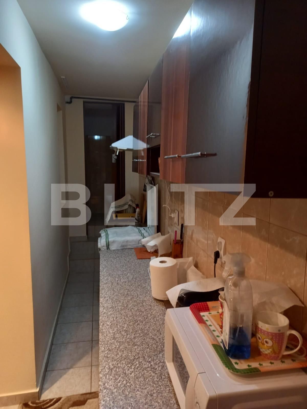 Apartament de vânzare 2 camere Balcescu - 106486AV | BLITZ Timișoara | Poza4