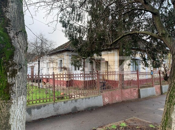 Casa de vânzare 4 camere Lugojului - 106515CV | BLITZ Timișoara | Poza1