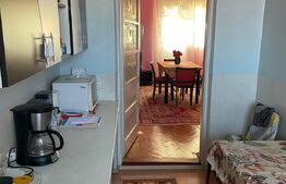 Apartament la casa cu curte comuna 74 mp utili, teren 330 mp, Mehala