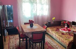 Apartament la casa cu curte comuna 74 mp utili, teren 330 mp, Mehala