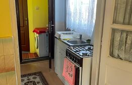 Apartament la casa cu curte comuna 74 mp utili, teren 330 mp, Mehala
