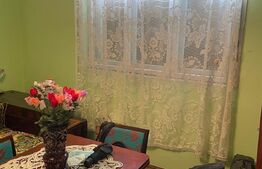 Apartament la casa cu curte comuna 74 mp utili, teren 330 mp, Mehala