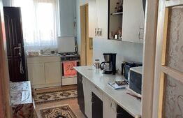 Apartament la casa cu curte comuna 74 mp utili, teren 330 mp, Mehala