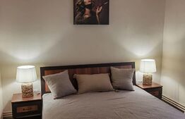 Apartament de 2 camere, 45 mp utili, lux, zona Spitalul Judetean