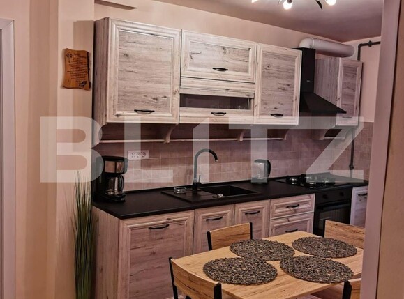 Apartament de închiriat 2 camere Spitalul Judetean - 106546AI | BLITZ Timișoara | Poza4