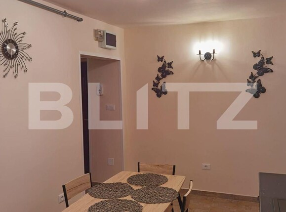 Apartament de închiriat 2 camere Spitalul Judetean - 106546AI | BLITZ Timișoara | Poza8