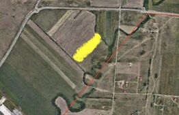 Teren extravilan, 20.000 mp, Dumbravita