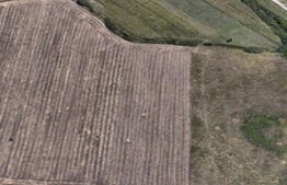 Teren extravilan, 20.000 mp, Dumbravita