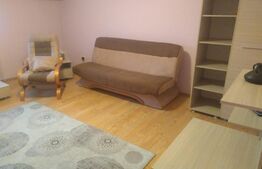 Apartament de 2 camere, spațios, 100 mp, pe Calea Bogdaneștilor