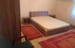 Apartament de 2 camere, spațios, 100 mp, pe Calea Bogdaneștilor