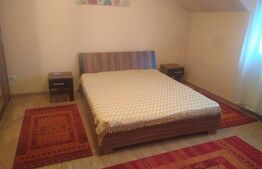 Apartament de 2 camere, spațios, 100 mp, pe Calea Bogdaneștilor