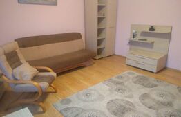 Apartament de 2 camere, spațios, 100 mp, pe Calea Bogdaneștilor