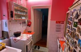 Apartament de 132 mp utili, parter inalt, cochet, in zona Neptun