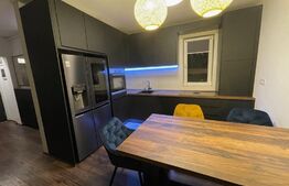 Penthouse 2 camere Aradului