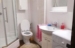 Apartament de 1 cameră, pe 2 niveluri, zona Elisabetin