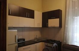 Apartament de 1 cameră, pe 2 niveluri, zona Elisabetin
