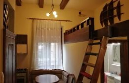 Apartament de 1 cameră, pe 2 niveluri, zona Elisabetin