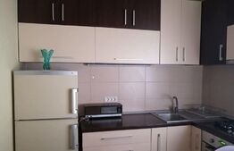 Apartament de 1 cameră, pe 2 niveluri, zona Elisabetin