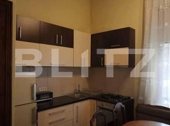 Garsonieră de închiriat Elisabetin - 107113AI | BLITZ Timișoara | Poza4
