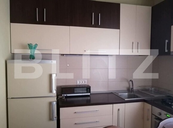 Garsonieră de închiriat Elisabetin - 107113AI | BLITZ Timișoara | Poza3