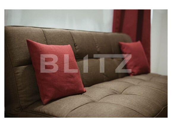 Garsonieră de închiriat Central - 107150AI | BLITZ Timișoara | Poza2