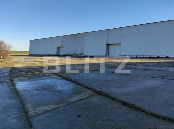 Spațiu industrial de închiriat Exterior Nord - 107200SII | BLITZ Timișoara | Poza5