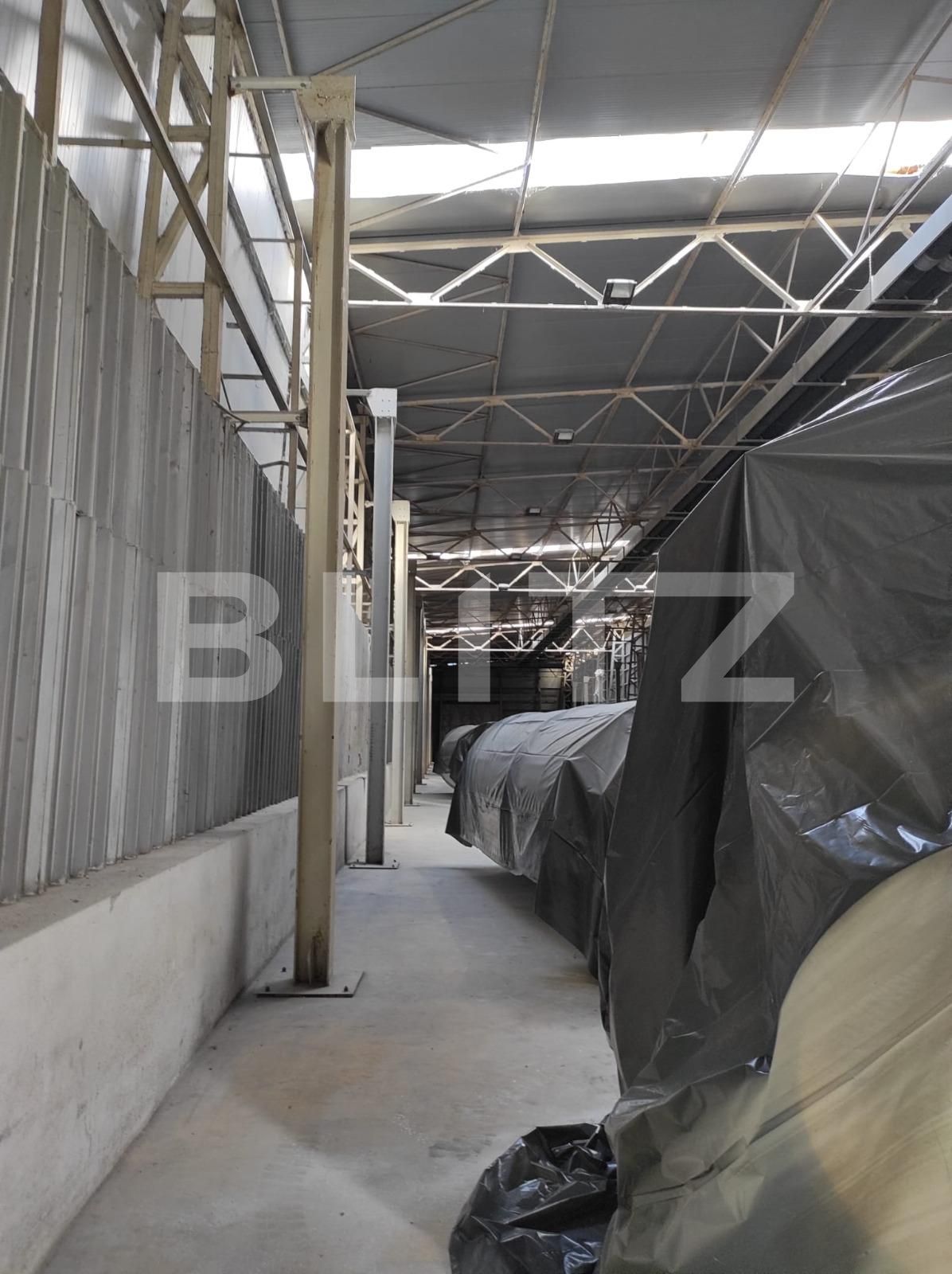 Spațiu industrial de închiriat Exterior Nord - 107200SII | BLITZ Timișoara | Poza4
