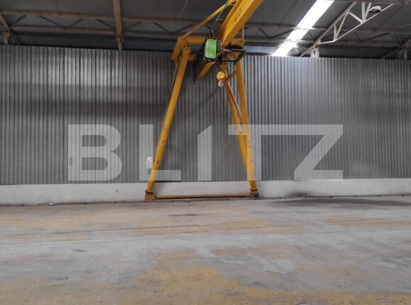 Spațiu industrial de închiriat Exterior Nord - 107204SII | BLITZ Timișoara | Poza4