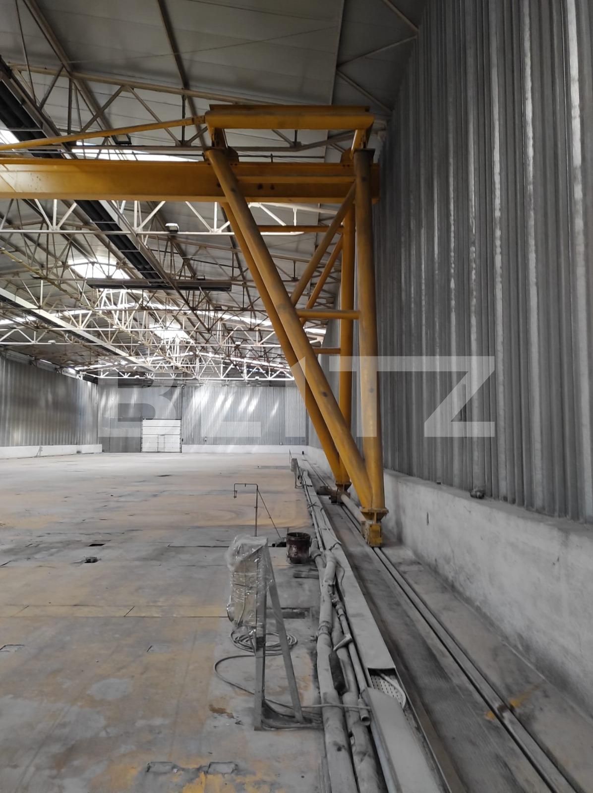 Spațiu industrial de închiriat Exterior Nord - 107204SII | BLITZ Timișoara | Poza3