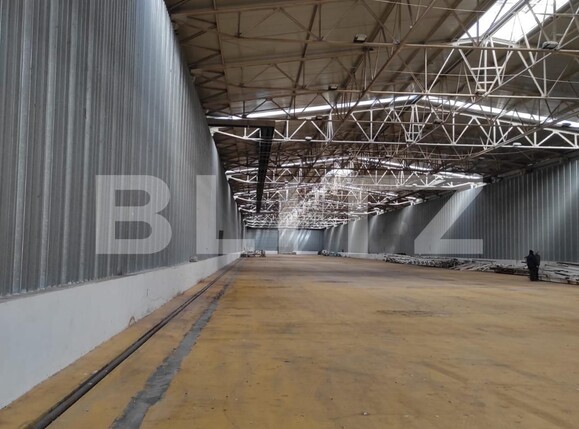 Spațiu industrial de închiriat Exterior Nord - 107209SII | BLITZ Timișoara | Poza3