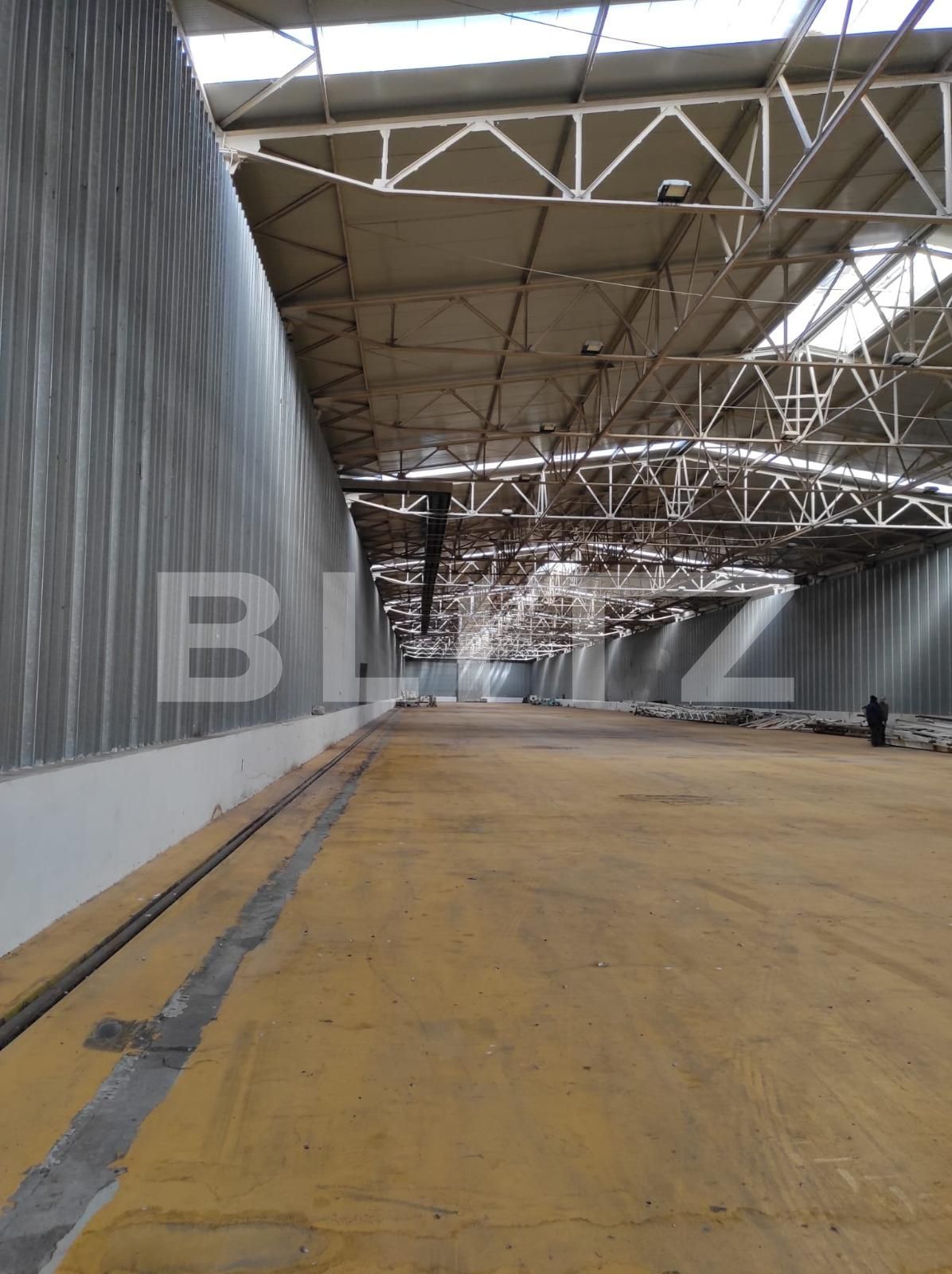 Spațiu industrial de închiriat Exterior Nord - 107209SII | BLITZ Timișoara | Poza3