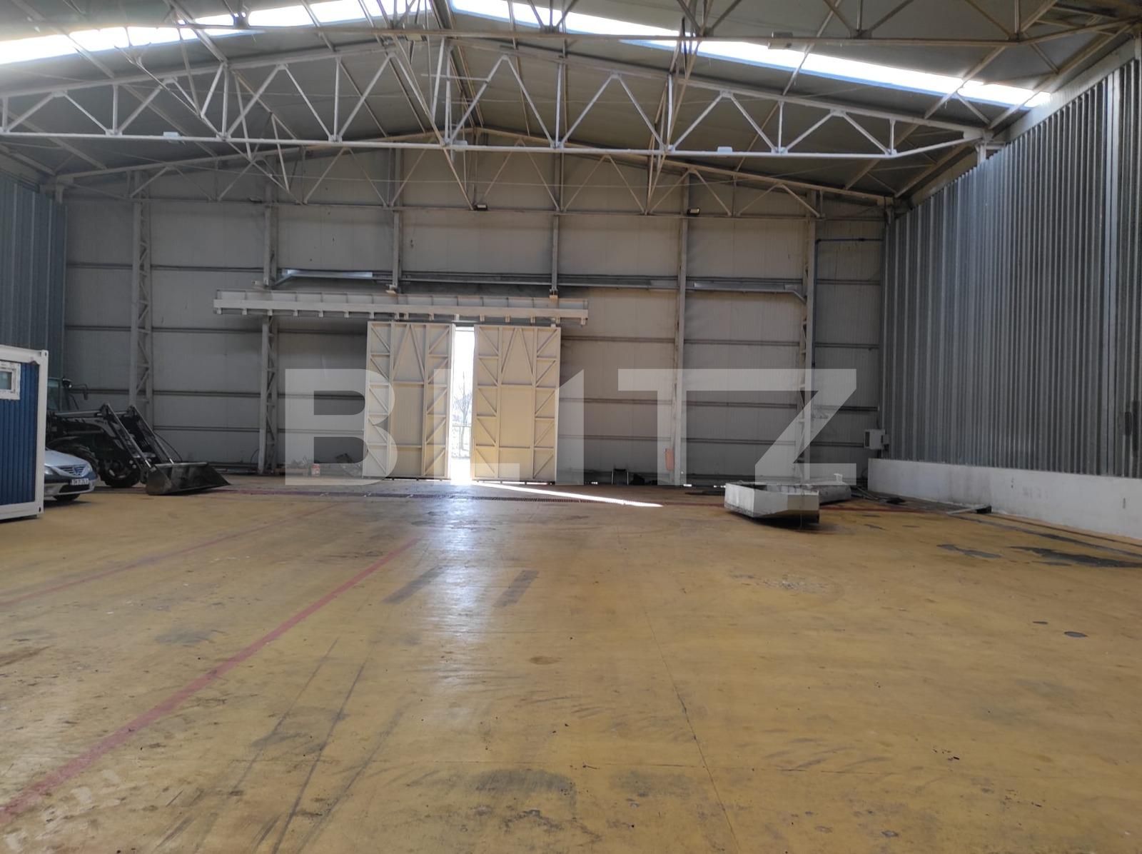 Spațiu industrial de închiriat Exterior Nord - 107209SII | BLITZ Timișoara | Poza4