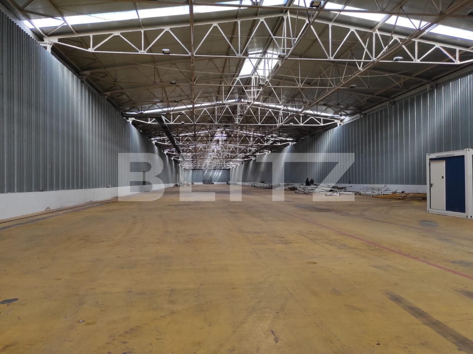 Spațiu industrial de închiriat Exterior Nord - 107209SII | BLITZ Timișoara | Poza2