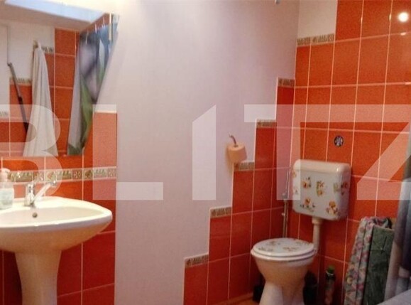 Casa de vânzare 5 camere Sagului - 107233CV | BLITZ Timișoara | Poza5