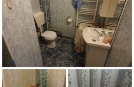 Casa vanzare, parter si mansarda, zona Calea Sagului