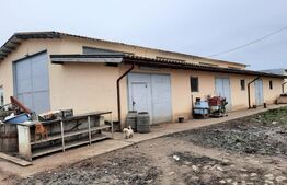 Investitie, ferma mare, vila, hale depozitare+9 Ha teren intravilan!