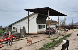 Investitie, ferma mare, vila, hale depozitare+9 Ha teren intravilan!