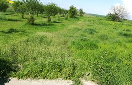 Investitie, ferma mare, vila, hale depozitare+9 Ha teren intravilan!