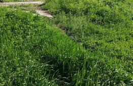 Investitie, ferma mare, vila, hale depozitare+9 Ha teren intravilan!